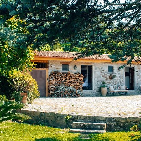 The Quixote House Bed & Breakfast Caminha Exterior photo